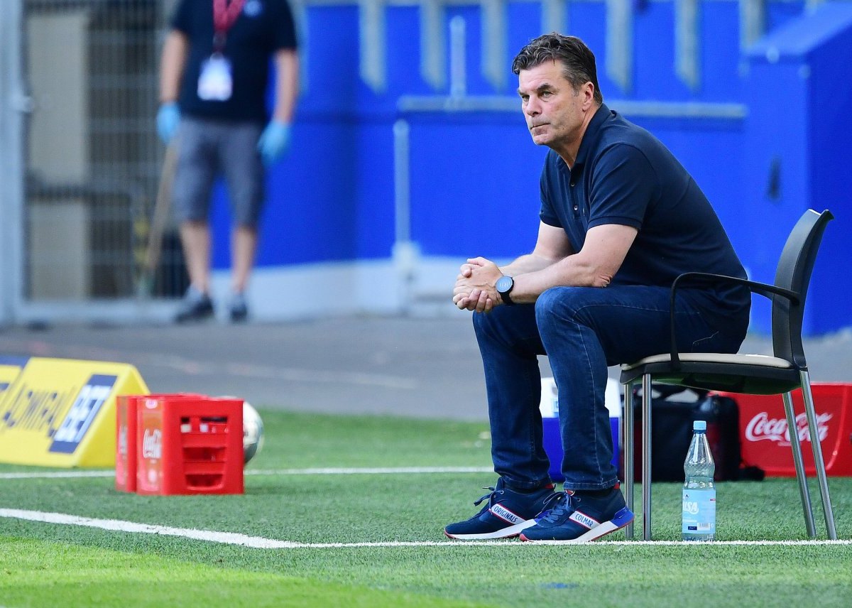 Hamburger-sv-hecking-fans