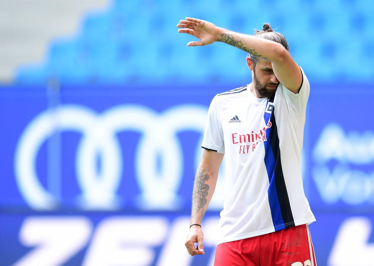 Martin Harnik Hamburger HSV