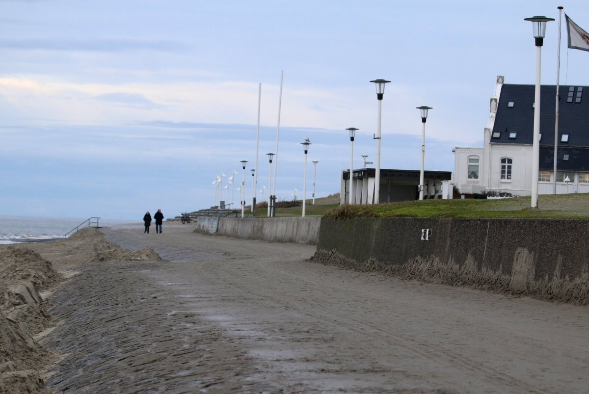 Norderney Nordsee Urlaub Frisa Tagesausflug