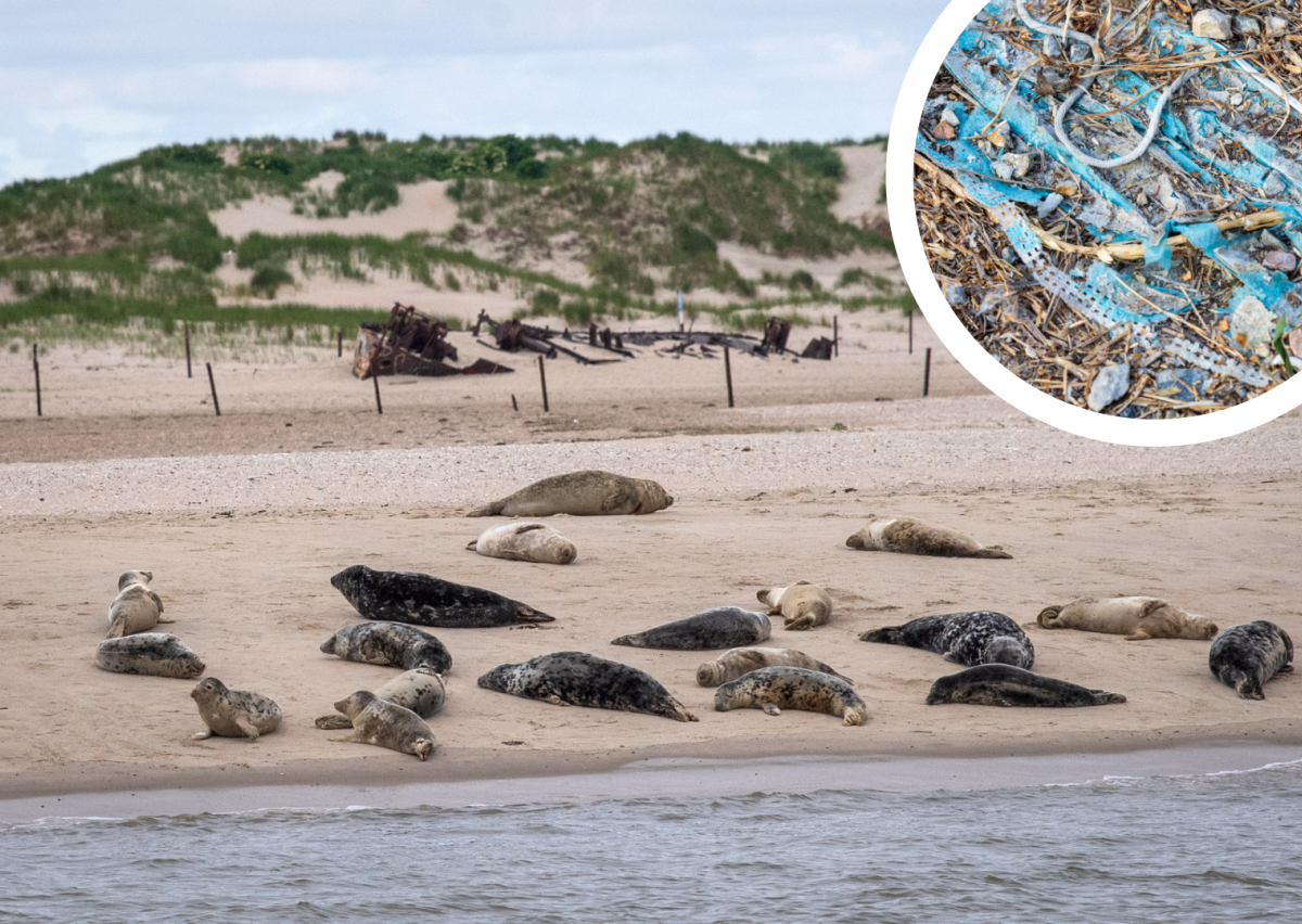 Norderney Nordsee Watt Welten Wattenmeer Umweltschutz Masken Müll Mund-Nasen-Schutz