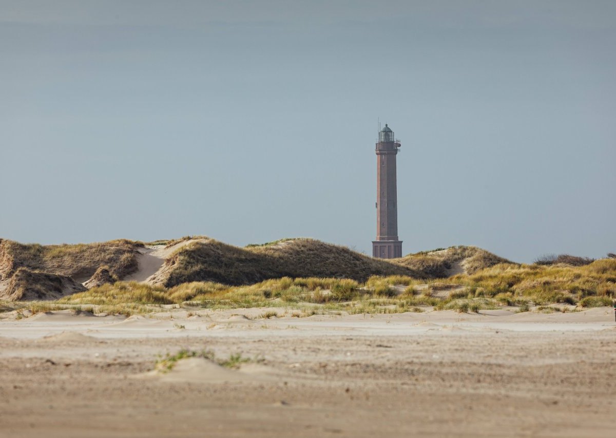 Norderney Schlafstrandkorb Nationalparkgesetz Naturschutzbehörde