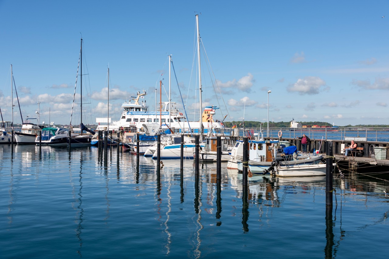 Eine Gefahr in der Ostsee soll durch ein neues Forschungsprojekt reduziert werden.