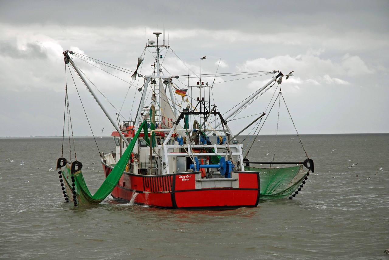 Ein Krabbenkutter auf der Nordsee.