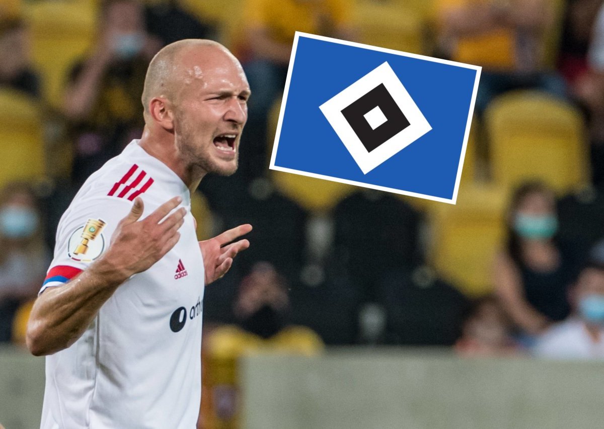 hsv-hamburger-sv-leistner