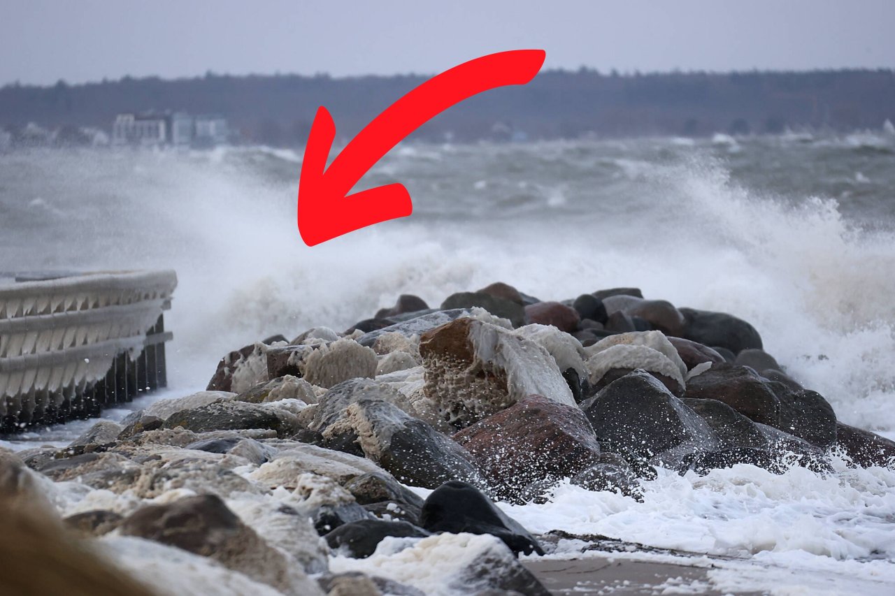 Ostsee In Gefahr Es Droht Die Katastrophe Moin De