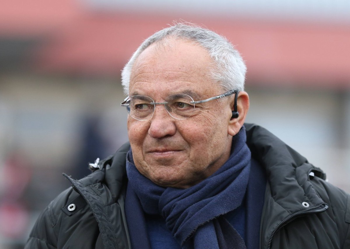 Hamburger-sv-felix-magath-kritik