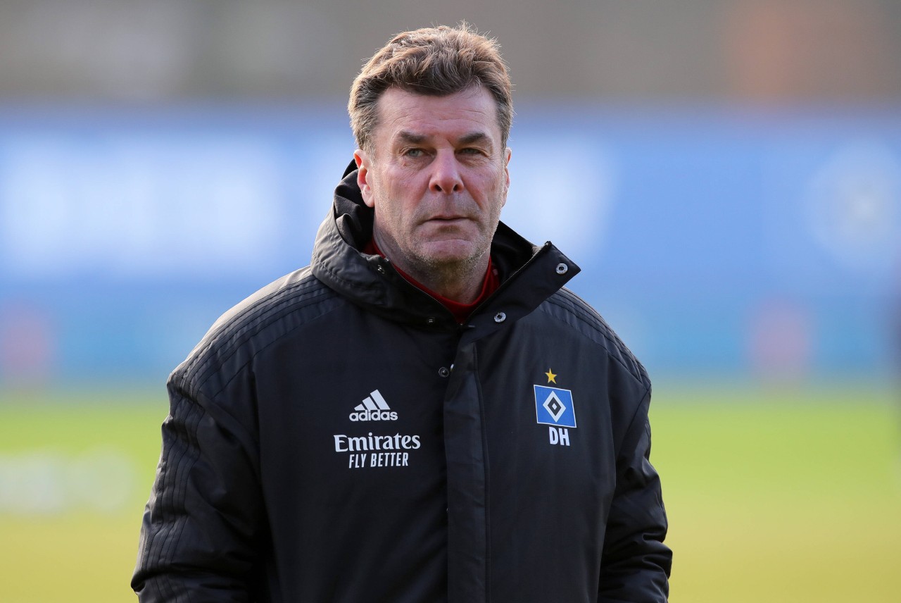 Hamburger SV: Dieter Hecking hat den Aufstieg fest im Blick.