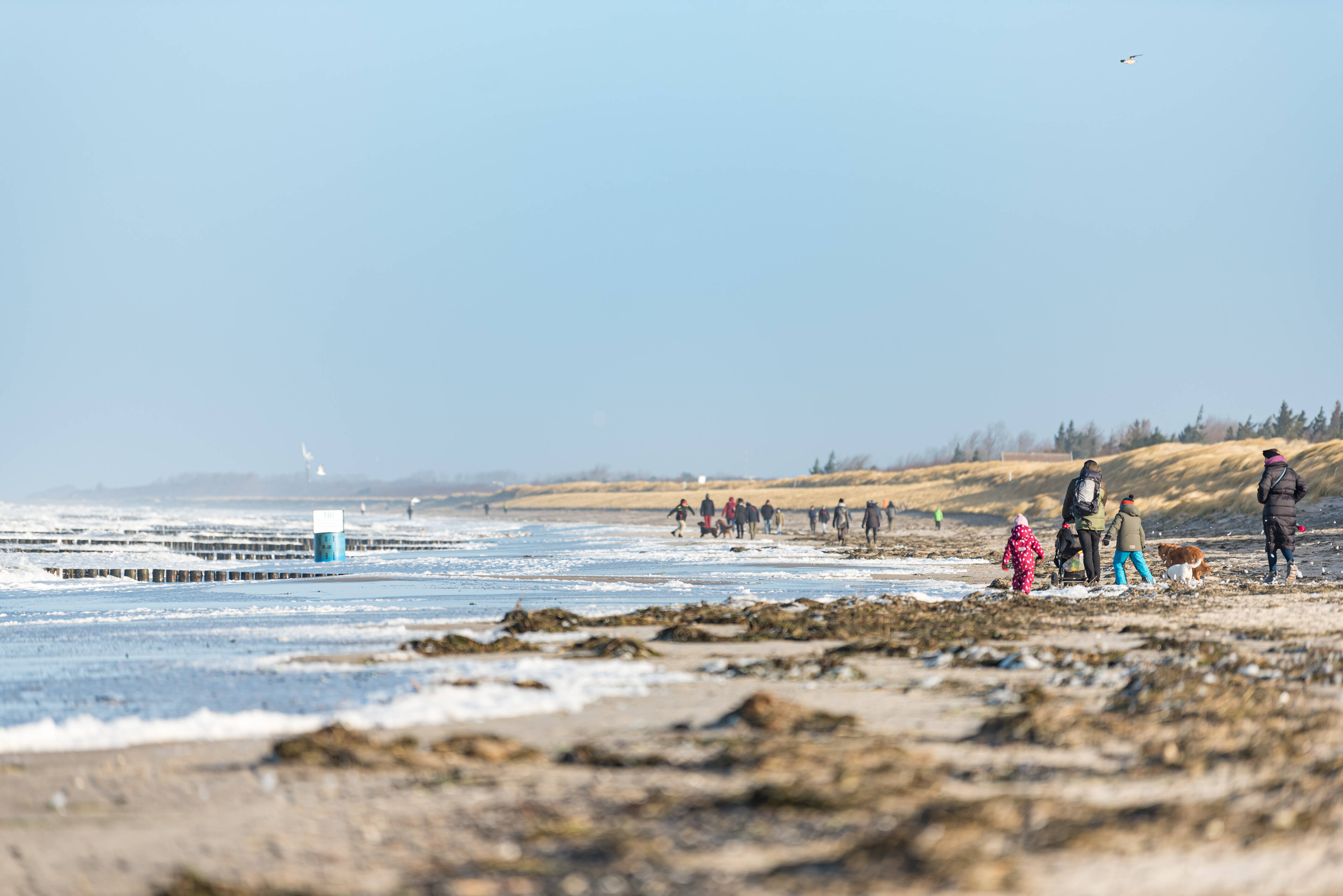 Ostsee: Was Menschen hier tun, sorgt für blankes Entsetzen - moin.de