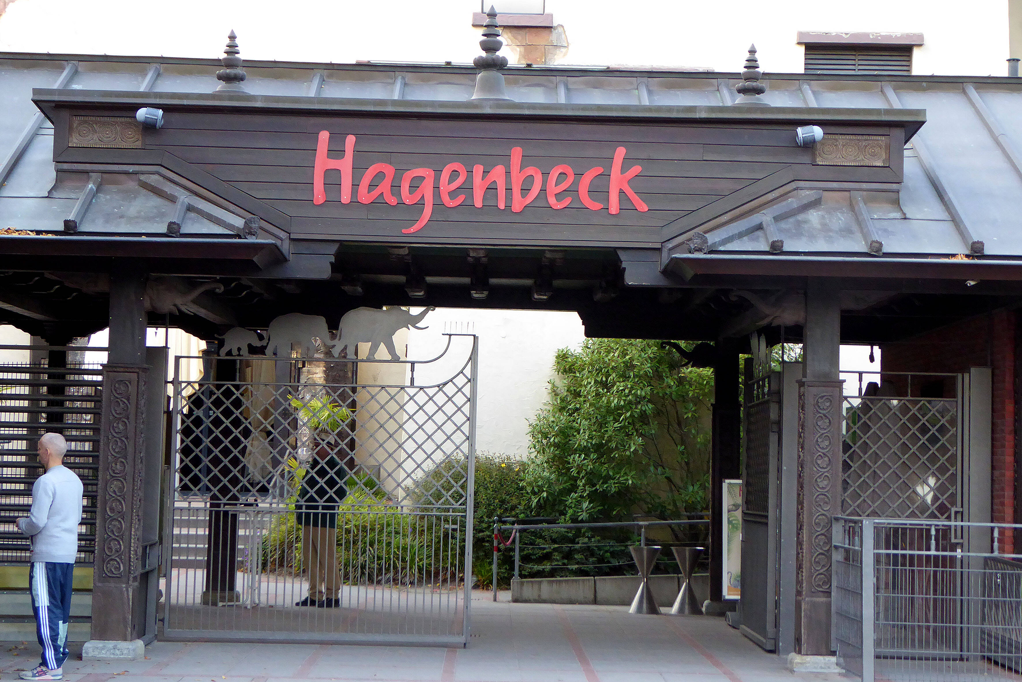 Tierpark Hagenbeck Gruseliger Anblick am Nichts für schwache