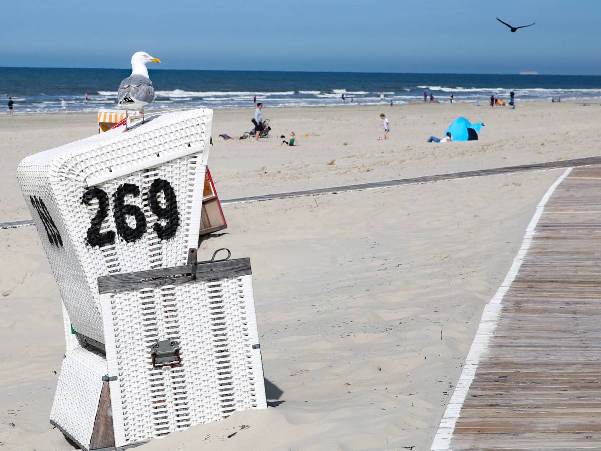 Urlauber entdecken immer weniger Möwen auf der Nordsee-Insel.