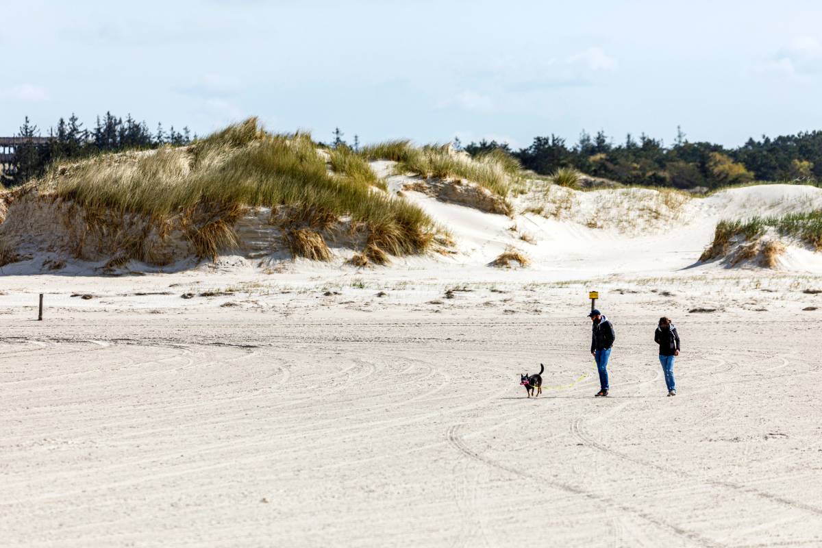 Frau macht erschreckende Beobachtung am Nordsee-Strand.