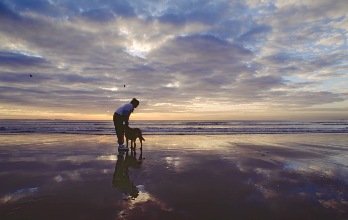 Ostsee Und Nordsee Ranking Enthüllt Die 10 Besten Hundestrände Moinde 0303