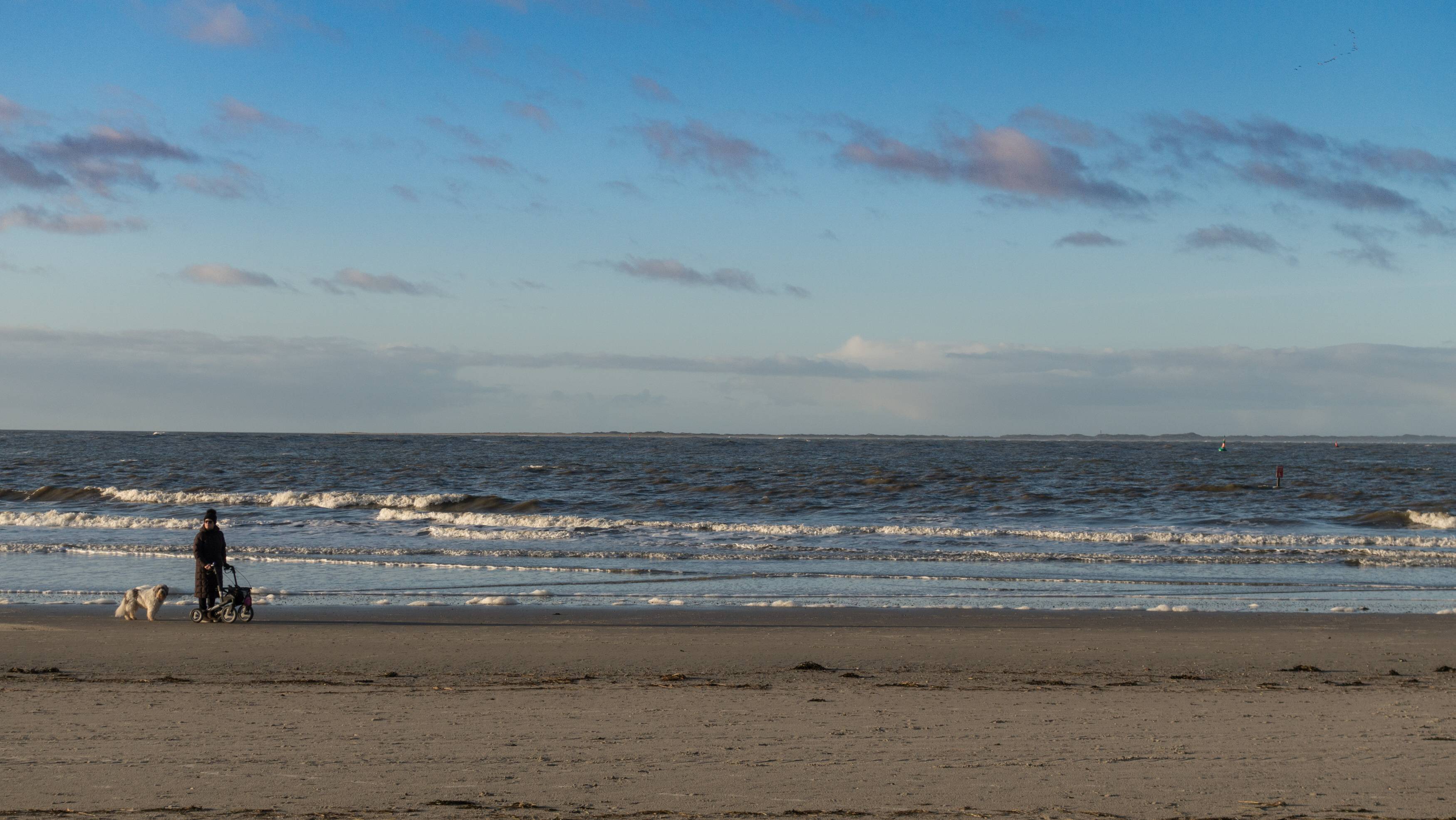 Norderney-15-Meter-Unget-m-schwimmt-auf-Strand-zu-Passanten-wissen-sofort-Bescheid