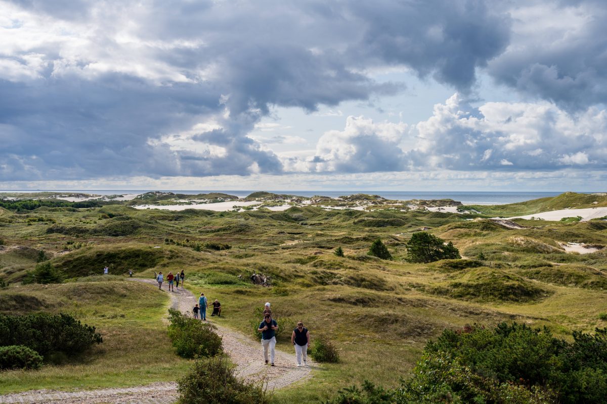 Auf Amrum kann man in den Dünen campen