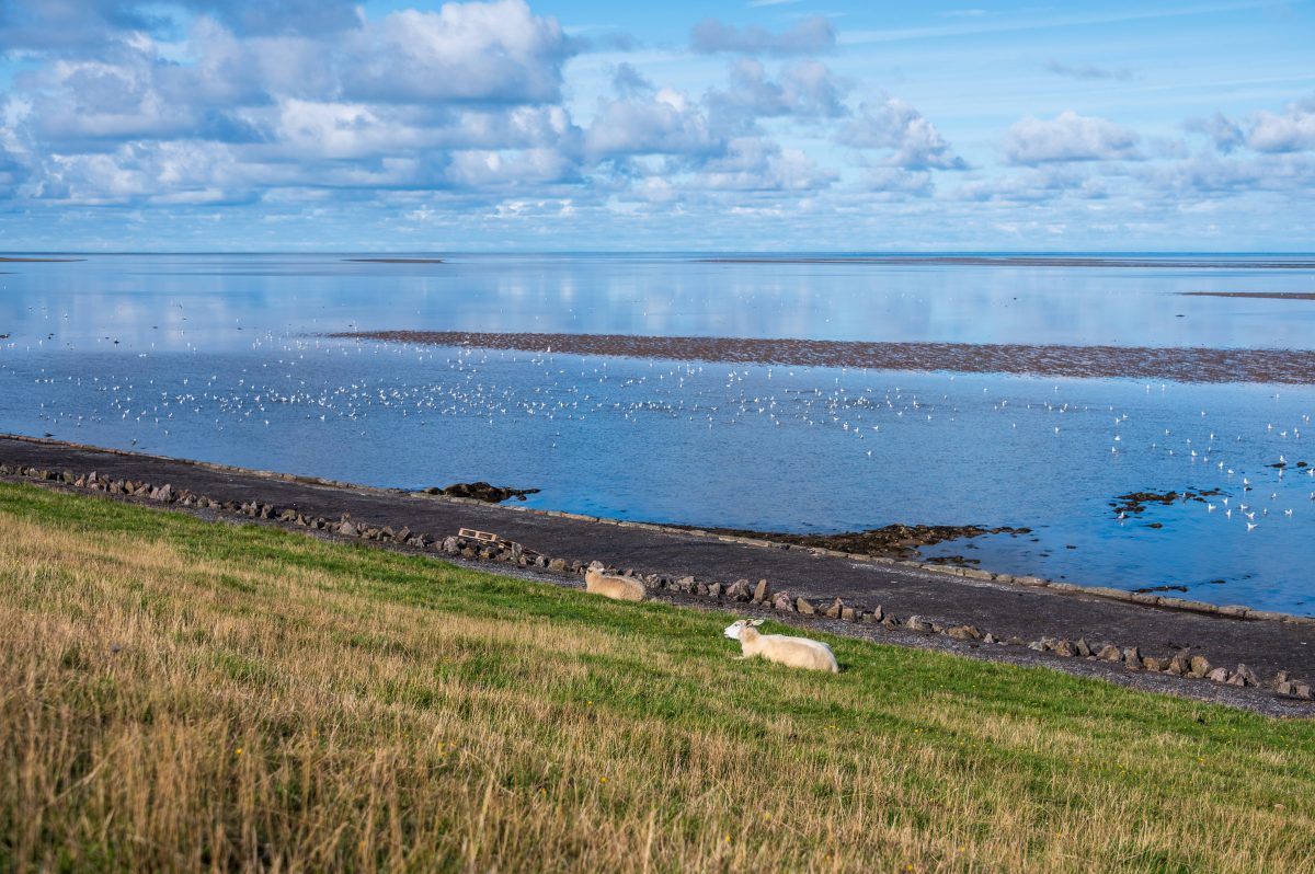 Nordsee