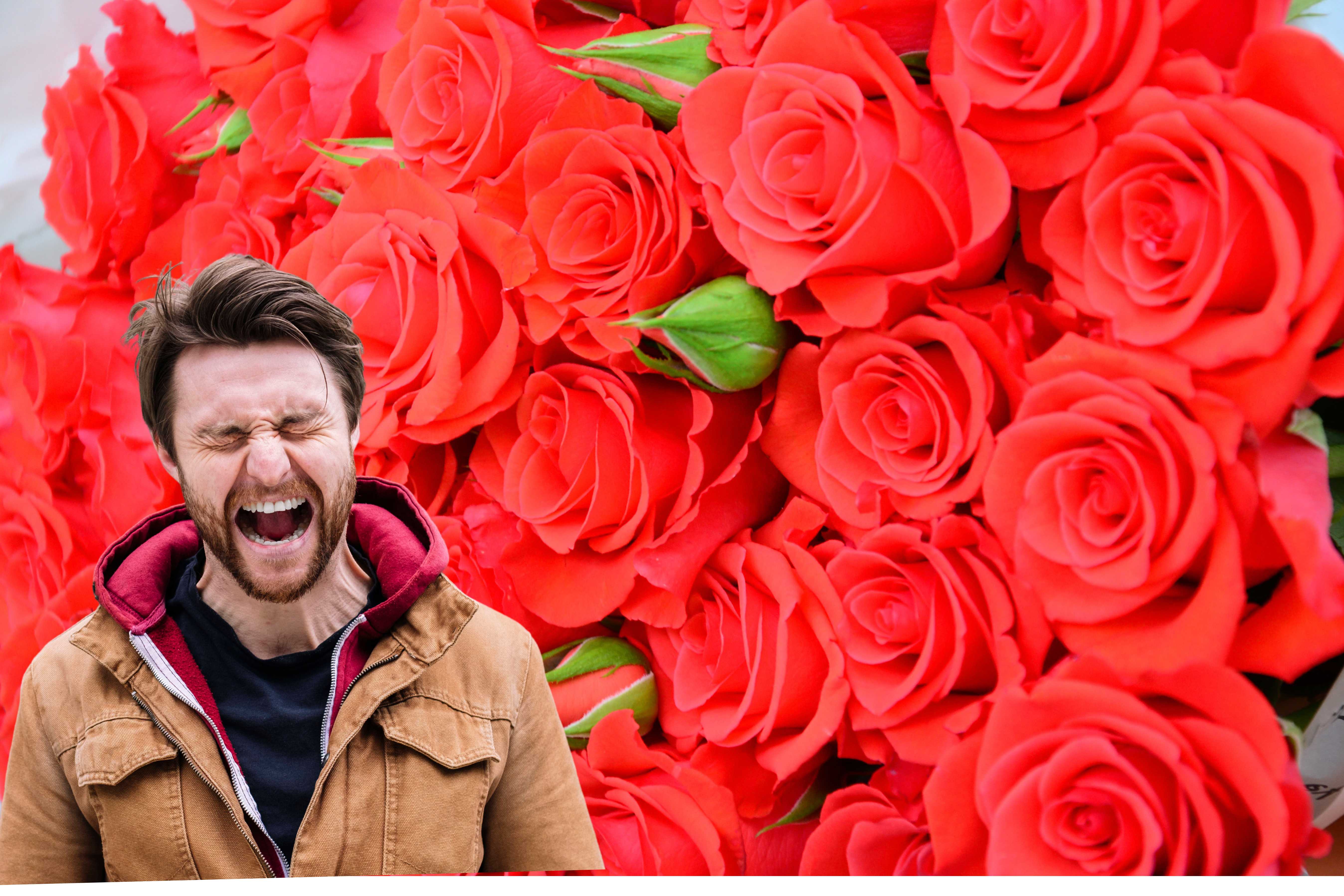 Rote Rosen“ (ARD): Zuschauer in Rage! „Furchtbar aufdringliche Person“ -  moin.de