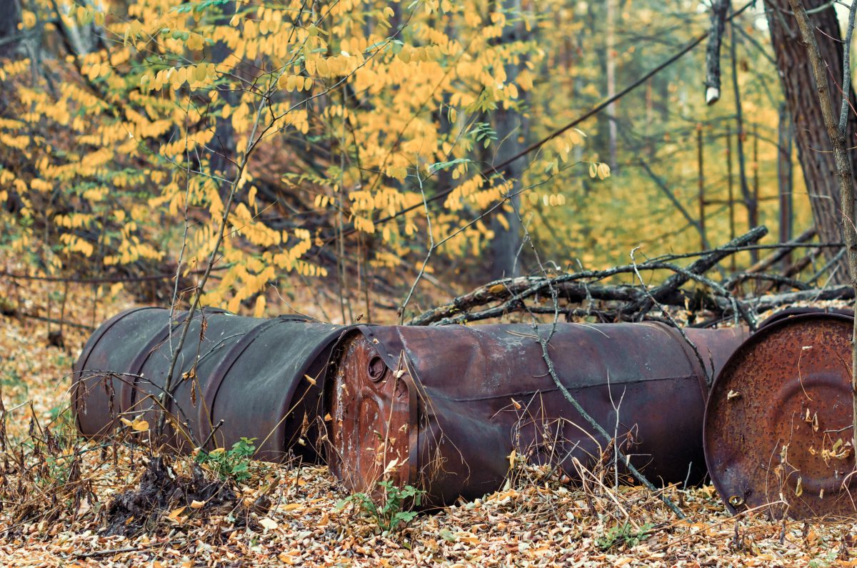 Fässer im Wald, Symbolbild