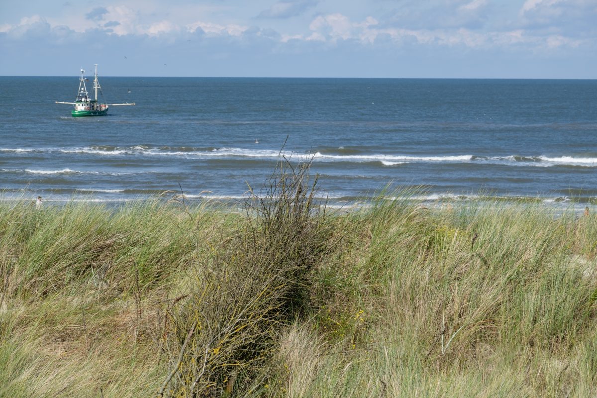 Die Nordsee-Insel Spiekeroog