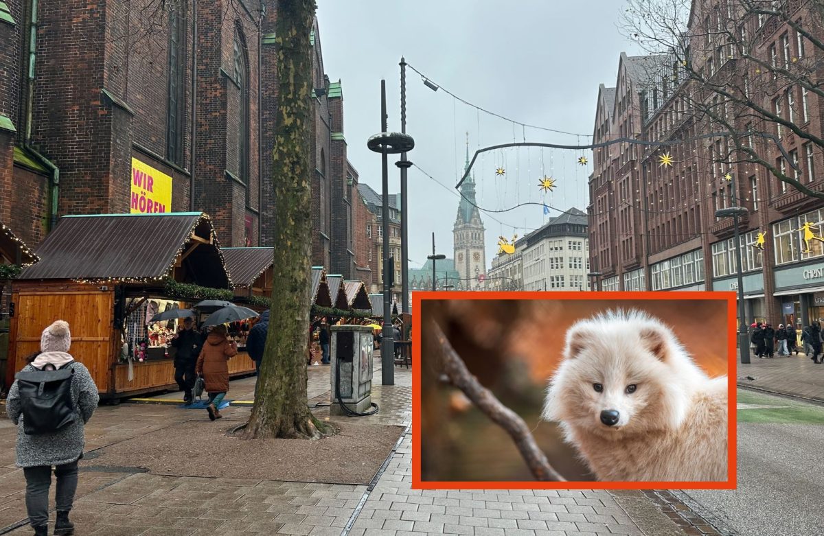 Weihnachtsmarkt Hamburg