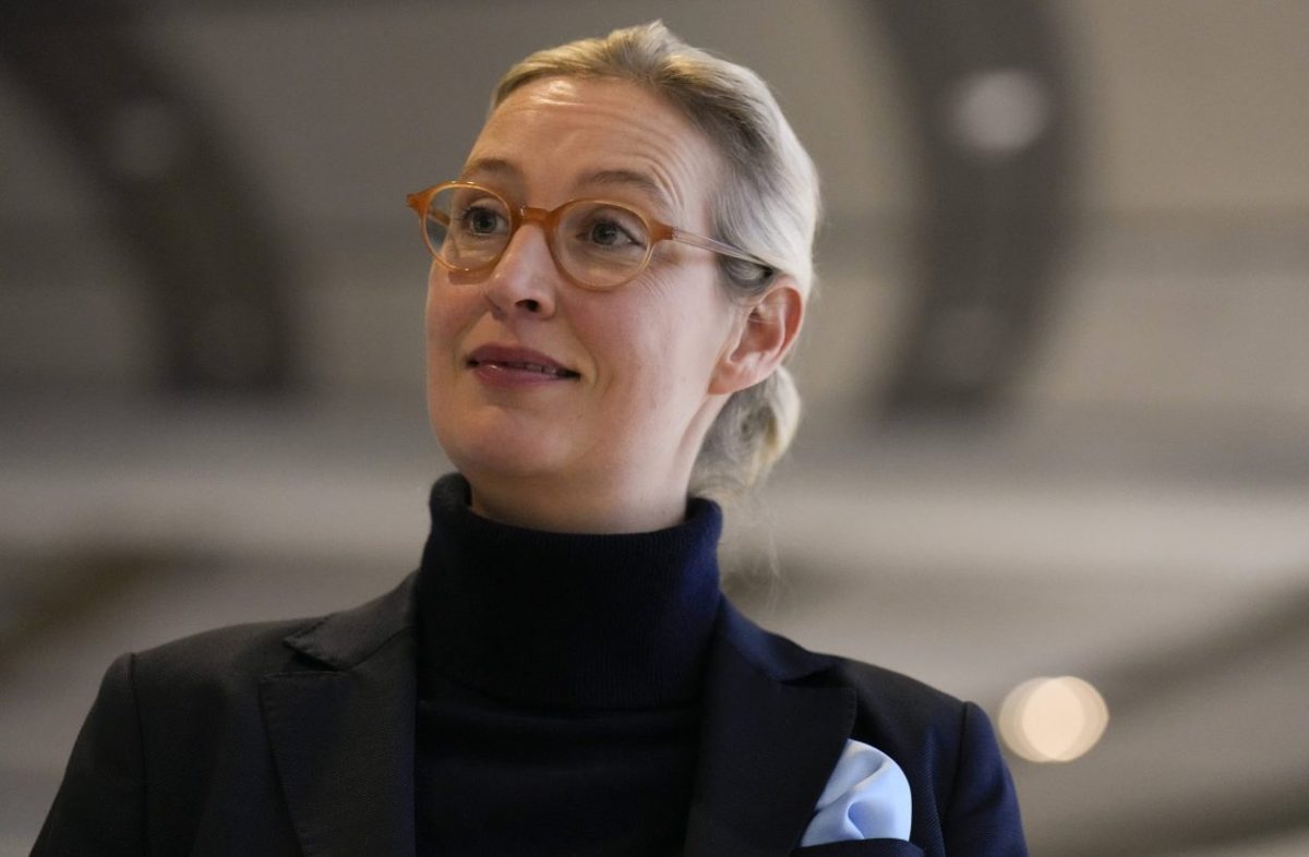 Steuergeschenke für Top-Verdiener: Weidel und die AfD