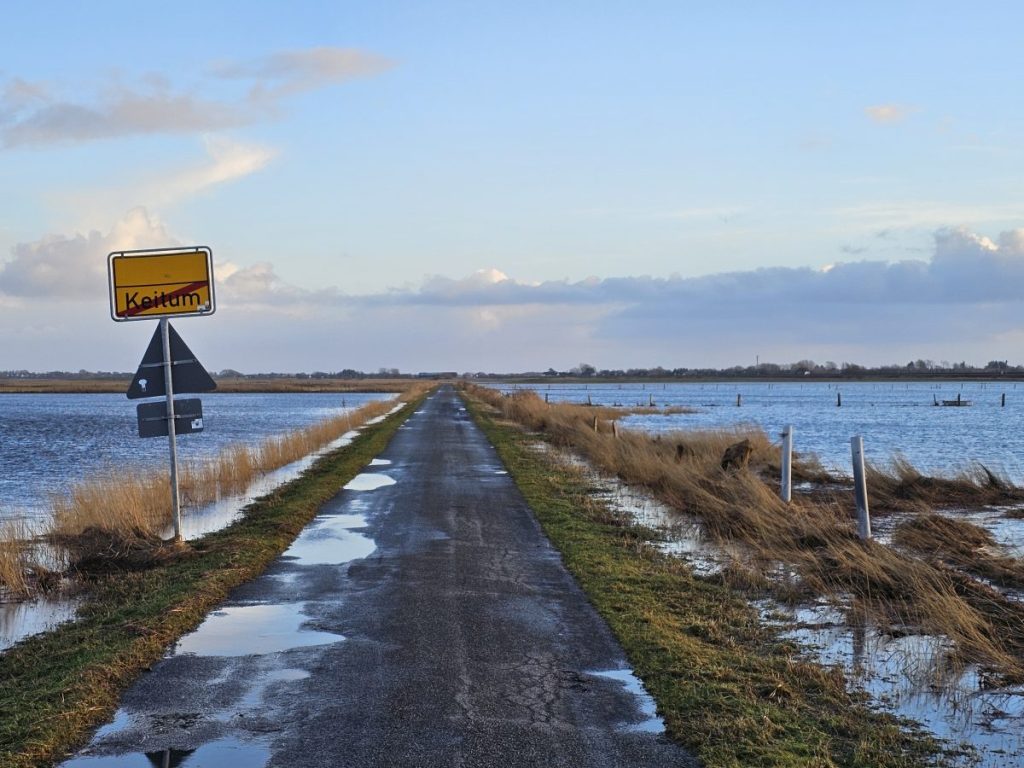 sylt