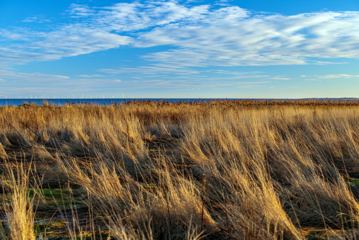 Eine Landschaft an der Nordsee, Symbolbild