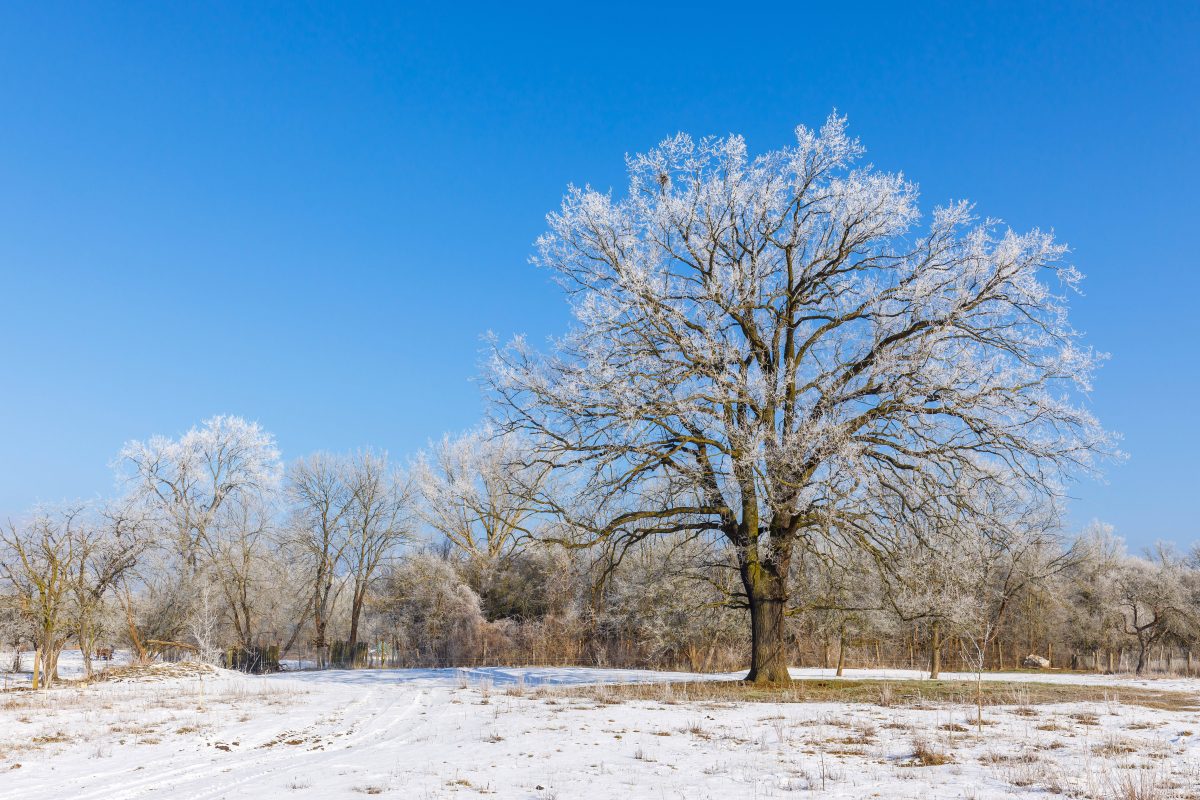 Wetter im Norden